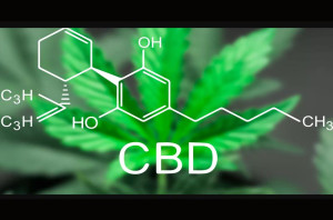 cbd что лечит