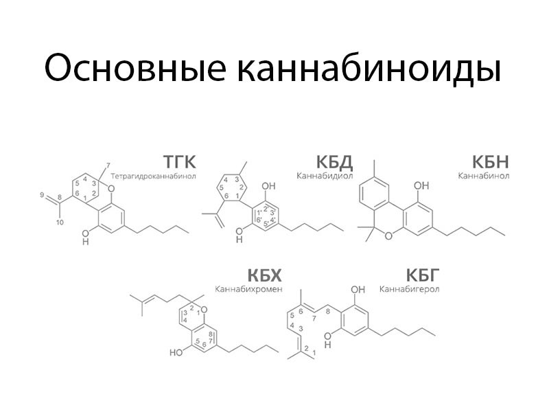 Основные каннабиноиды